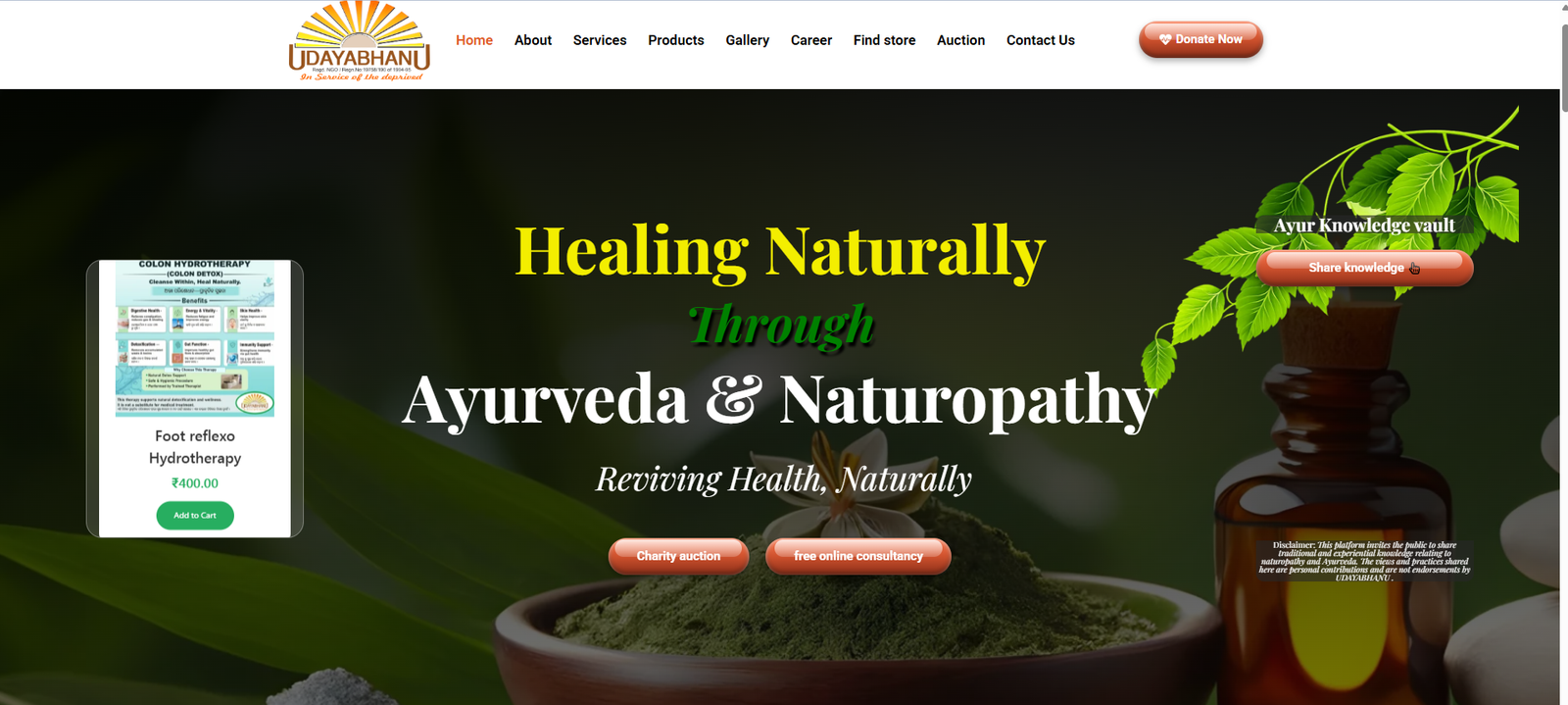 Udayabhanu website preview