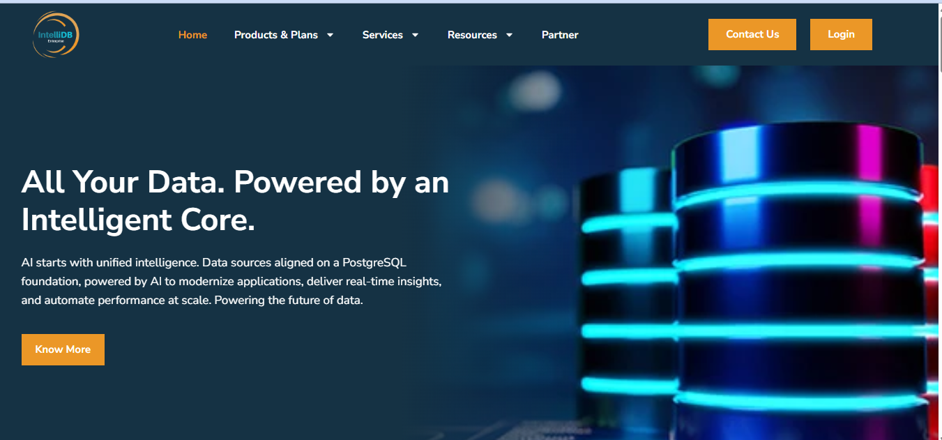 IntelliDB Enterprise website preview